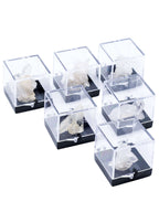 Arkansas Quartz Crystal Perky Box Display (Assorted) - New Age Realms