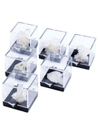 Arkansas Quartz Crystal Perky Box Display (Assorted) - New Age Realms
