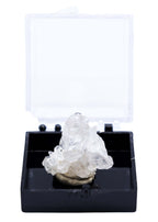 Arkansas Quartz Crystal Perky Box Display (Assorted) - New Age Realms