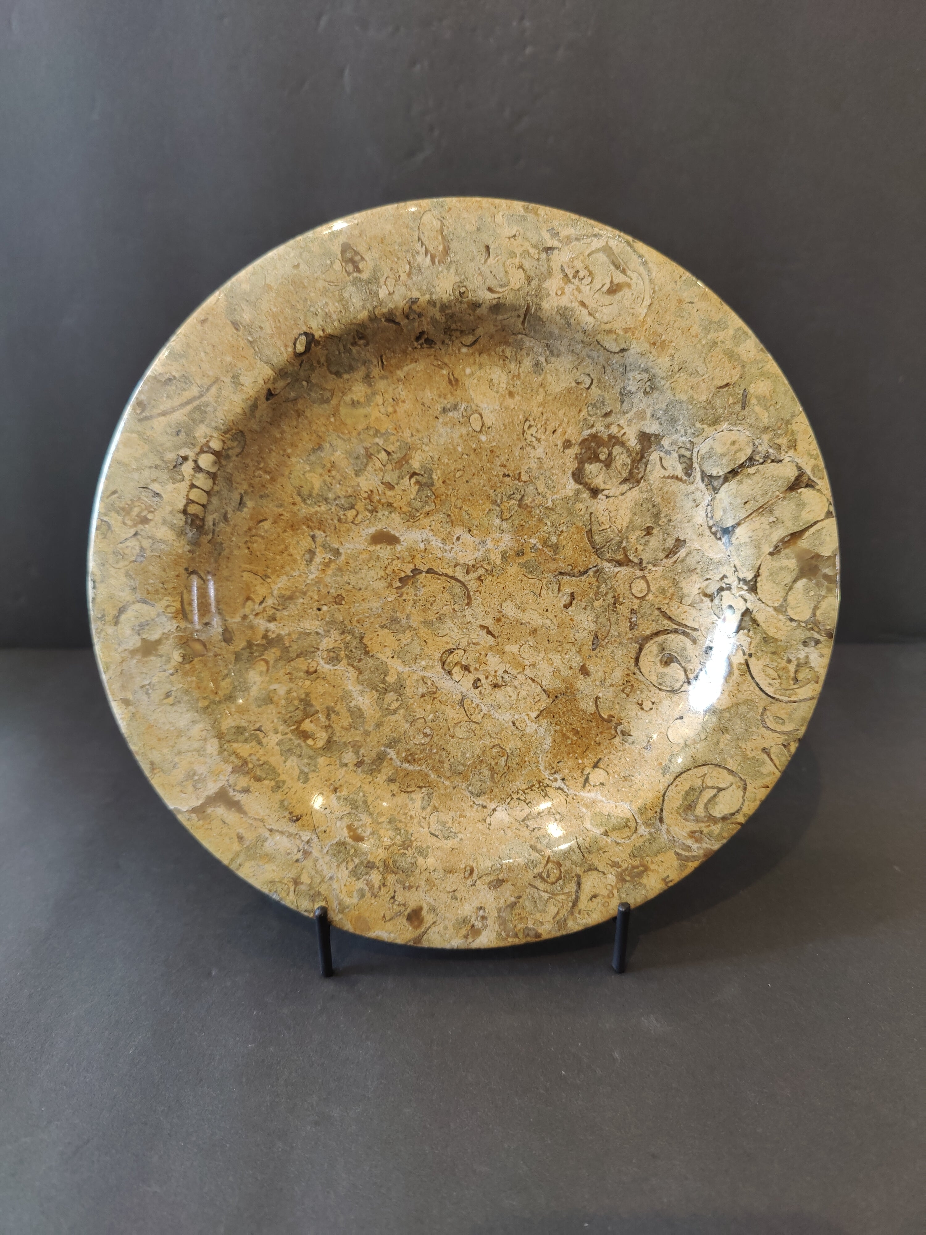 Coral Fossil Decorative Plate 8" - New Age Realms