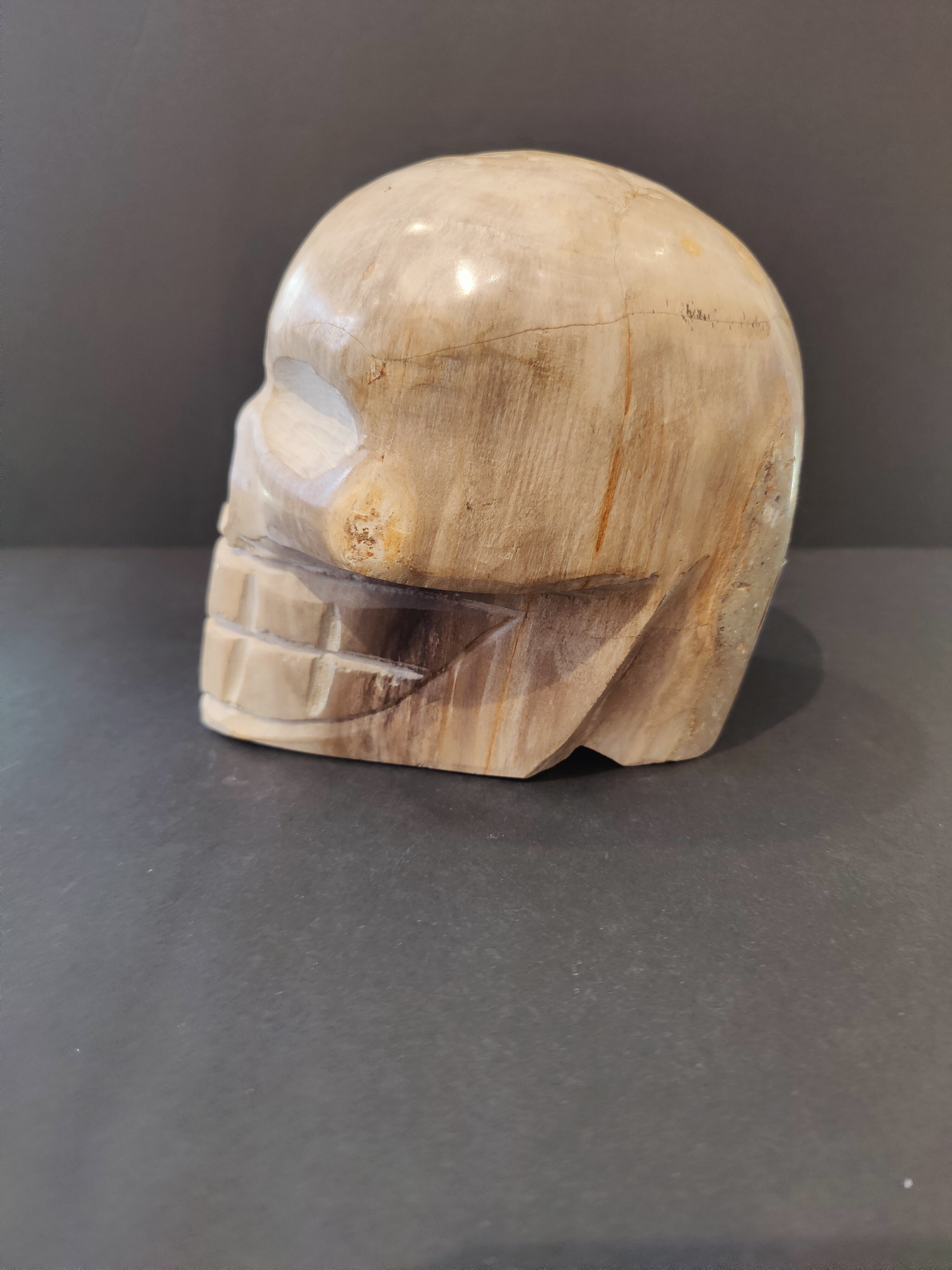 Petrified Wood Skull Sculpture - New Age Realms