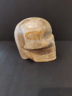 Petrified Wood Skull Sculpture - New Age Realms