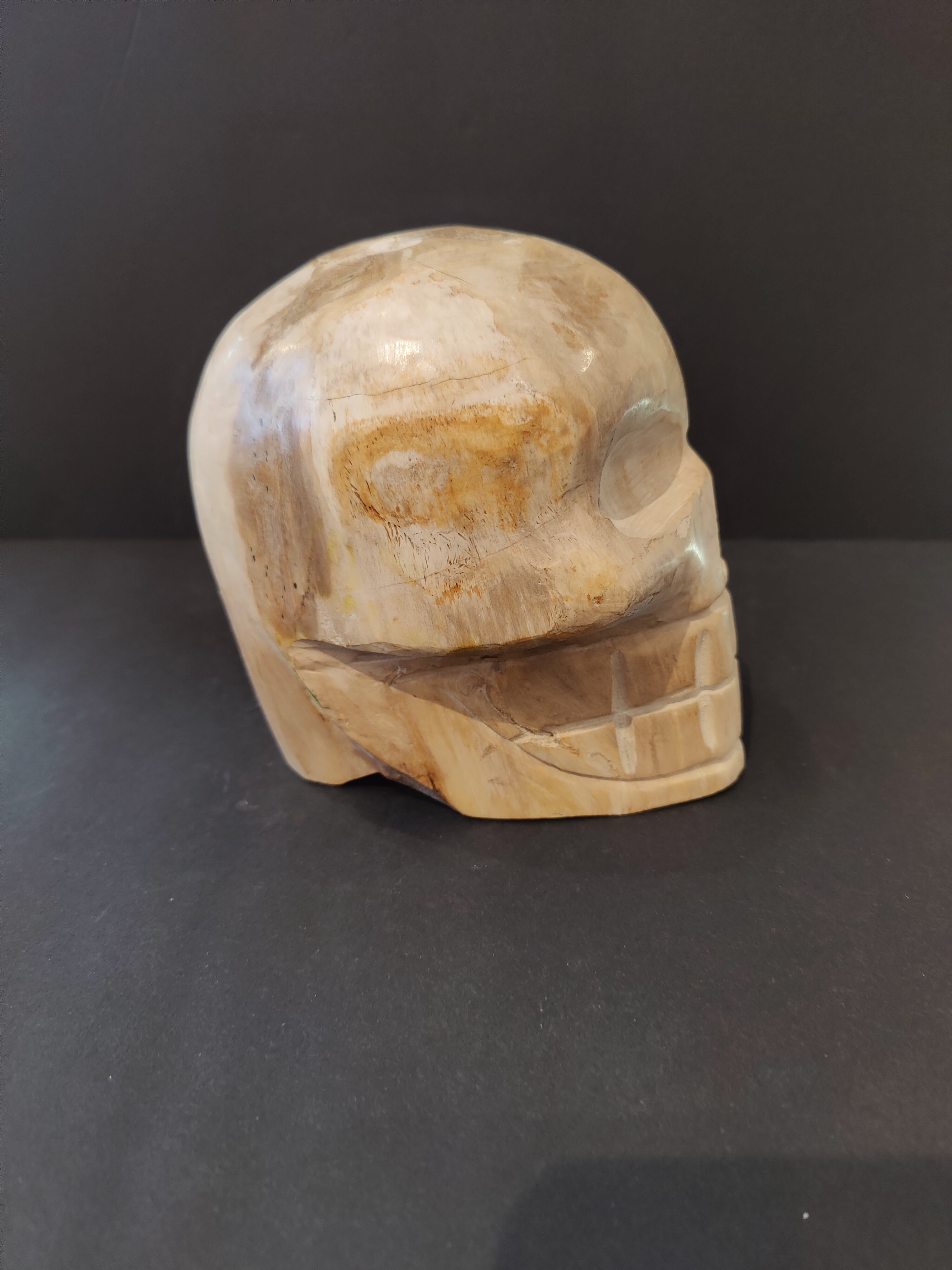 Petrified Wood Skull Sculpture - New Age Realms