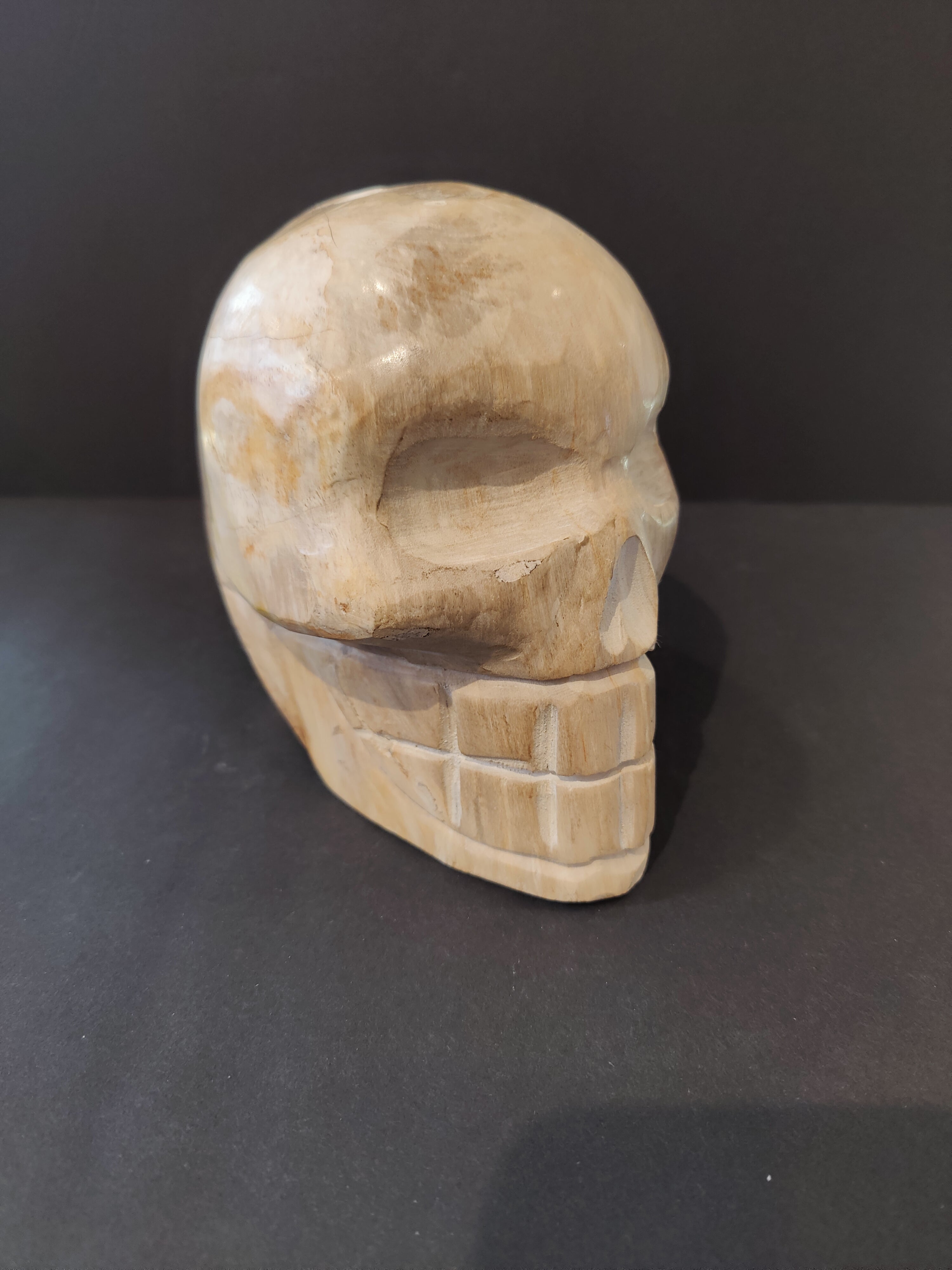 Petrified Wood Skull Sculpture - New Age Realms