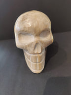 Petrified Wood Skull Sculpture - New Age Realms