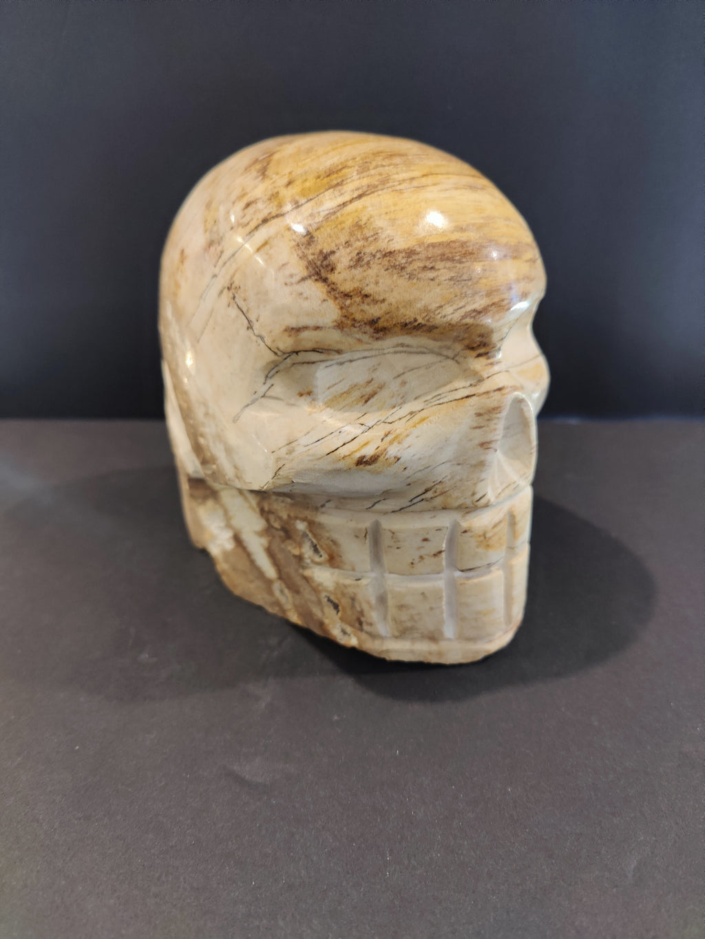 Petrified Wood Skull Sculpture - New Age Realms