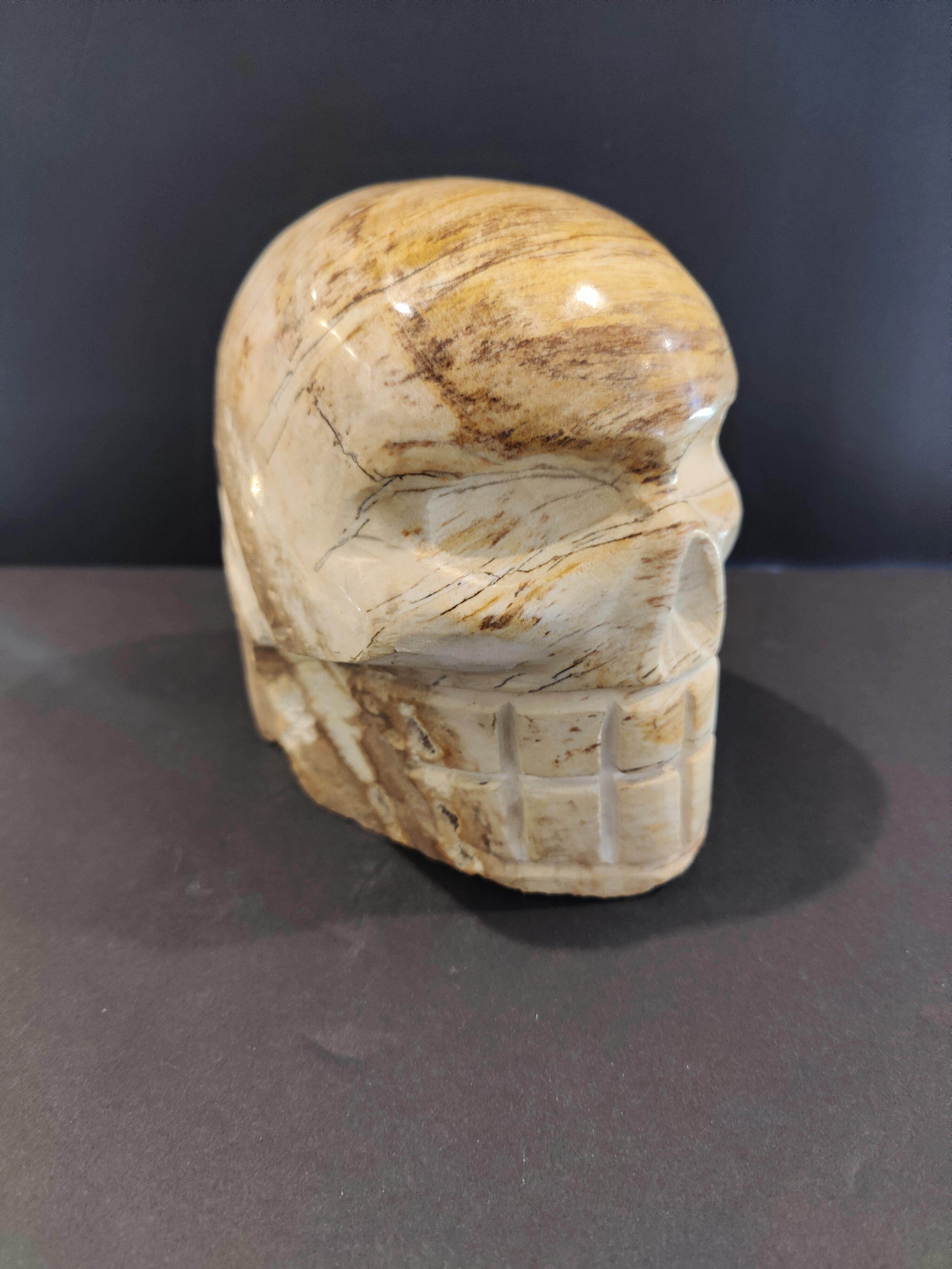 Petrified Wood Skull Sculpture - New Age Realms