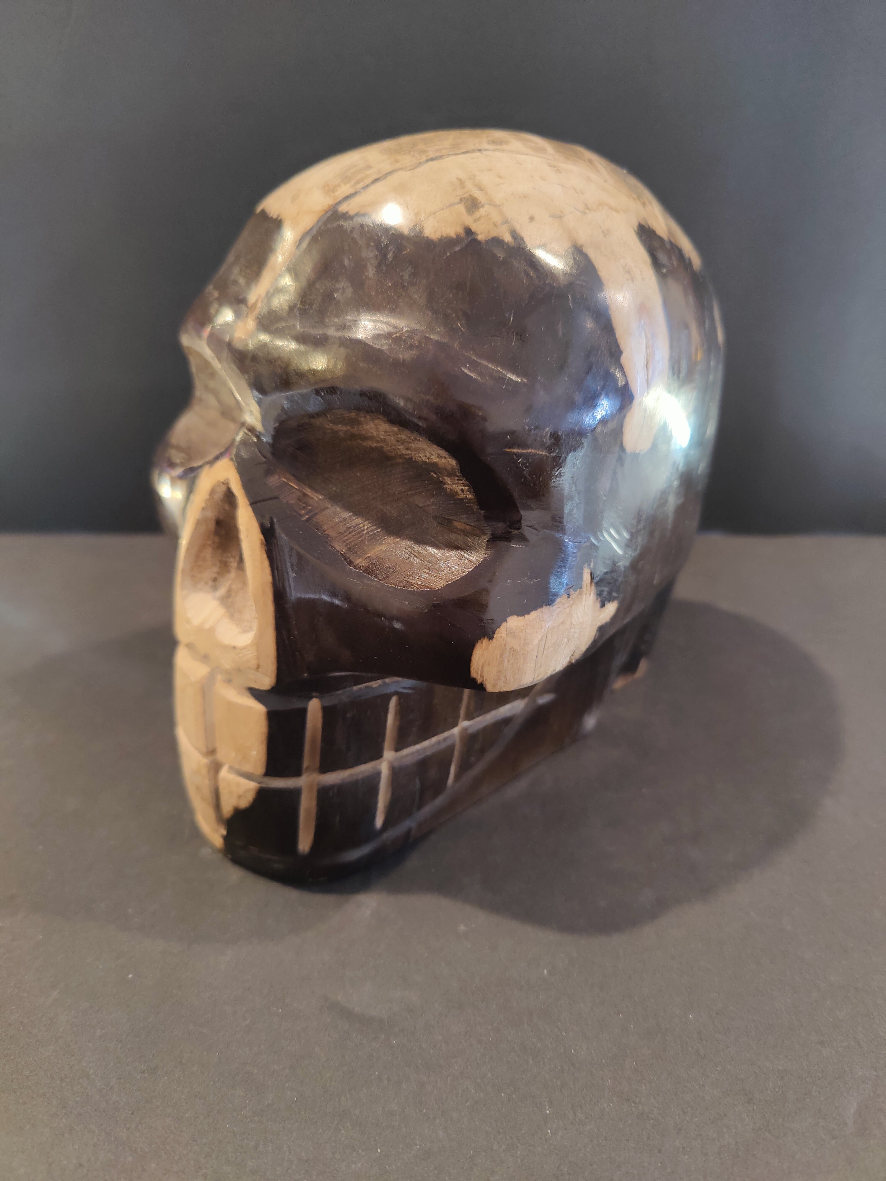 Petrified Wood Skull Sculpture - New Age Realms