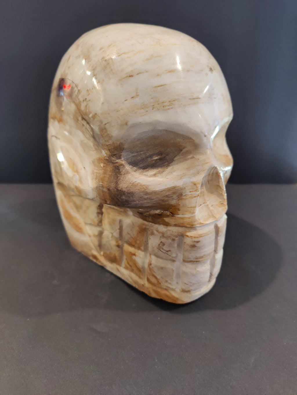 Petrified Wood Skull Sculpture - New Age Realms