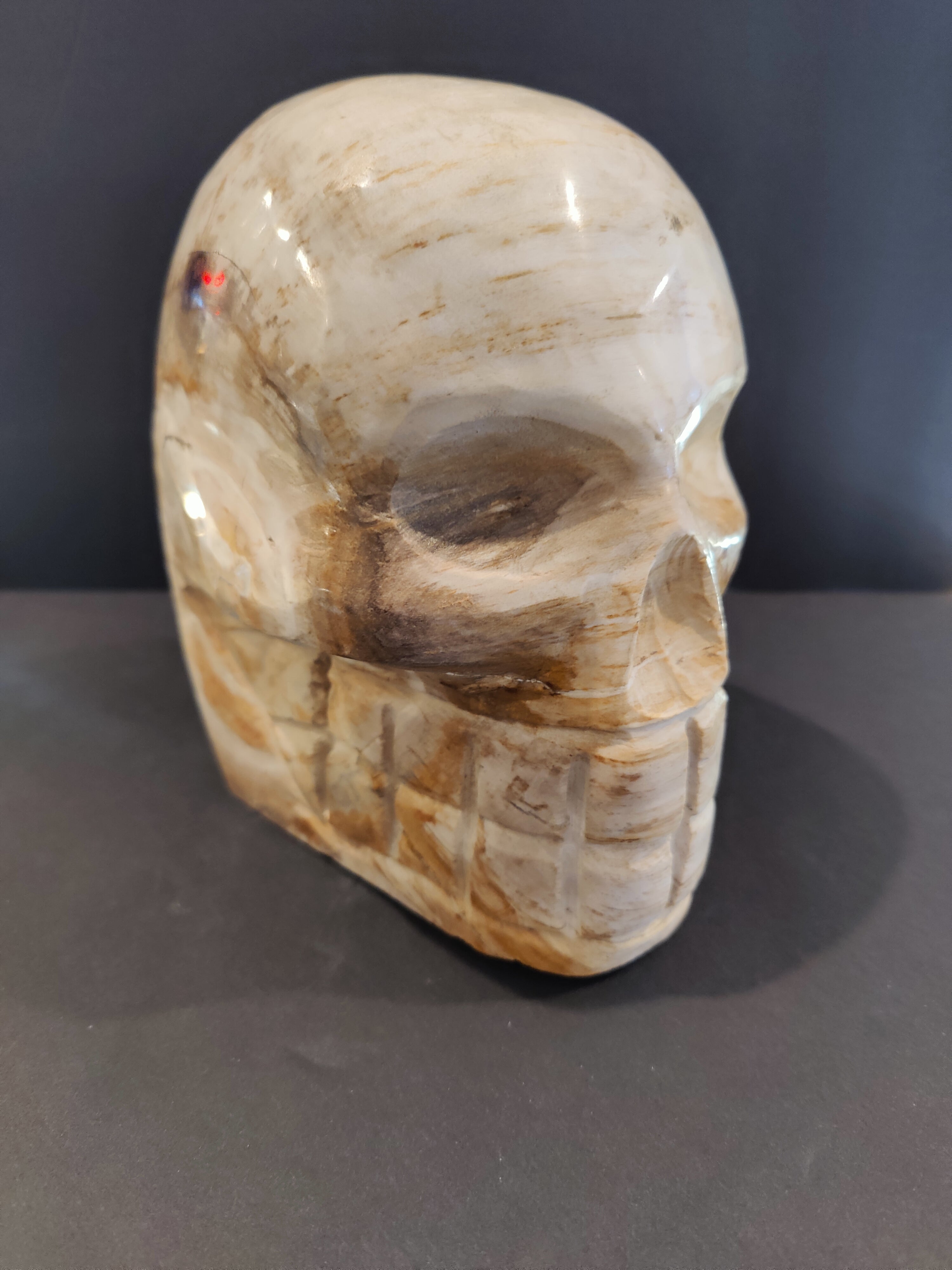 Petrified Wood Skull Sculpture - New Age Realms