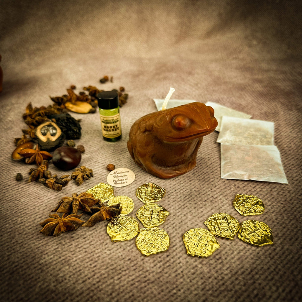 Lucky Money Frog Candle Ritual Kit - Abundance & Prosperity