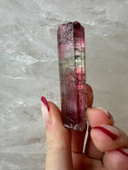 Watermelon Tourmaline from Brazil - New Age Realms