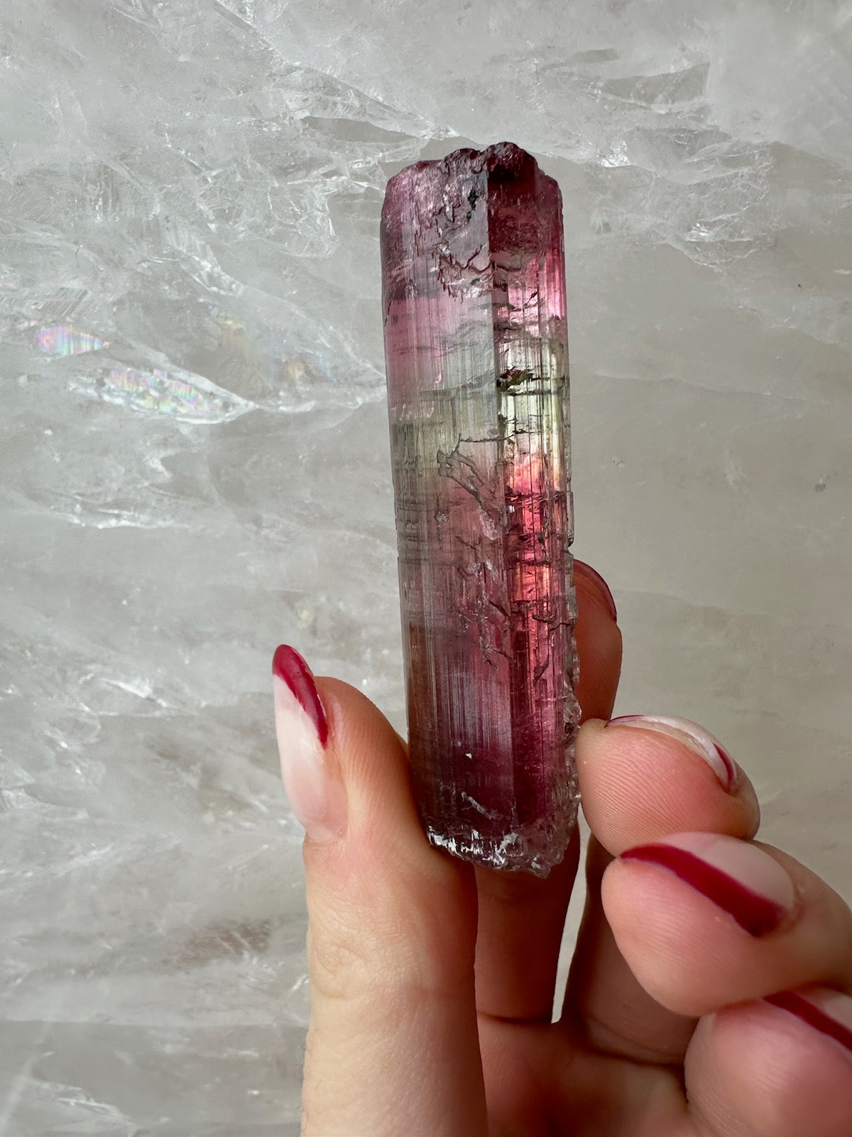 Watermelon Tourmaline from Brazil - New Age Realms