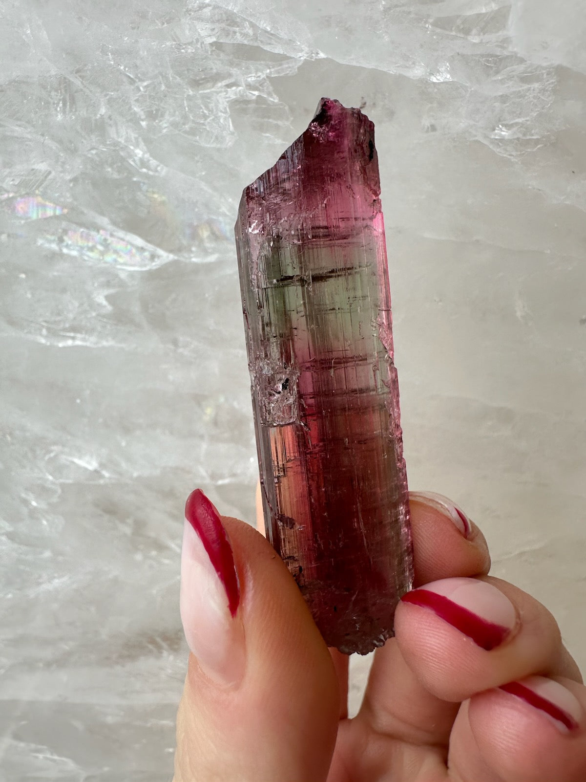Watermelon Tourmaline from Brazil - New Age Realms