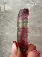 Watermelon Tourmaline from Brazil - New Age Realms