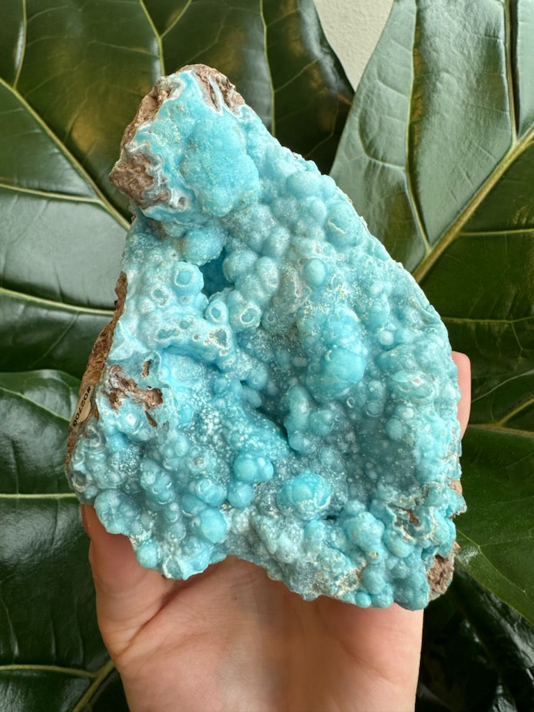 Botryoidal Blue Hemimorphite 0.5 kg - New Age Realms