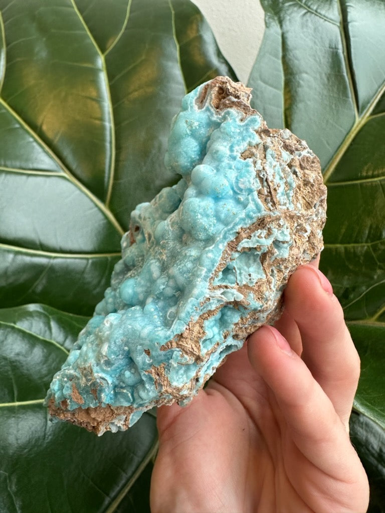 Botryoidal Blue Hemimorphite 0.5 kg - New Age Realms