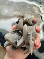 Dogtooth Calcite Cluster with Mica - New Age Realms