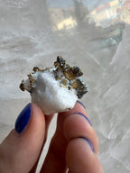 Crystalline Gold with Arsenopyrite on Quartz Sierra Co., Alleghany, California - New Age Realms