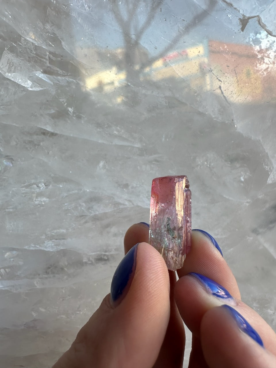 Watermelon Tourmaline from Brazil - New Age Realms