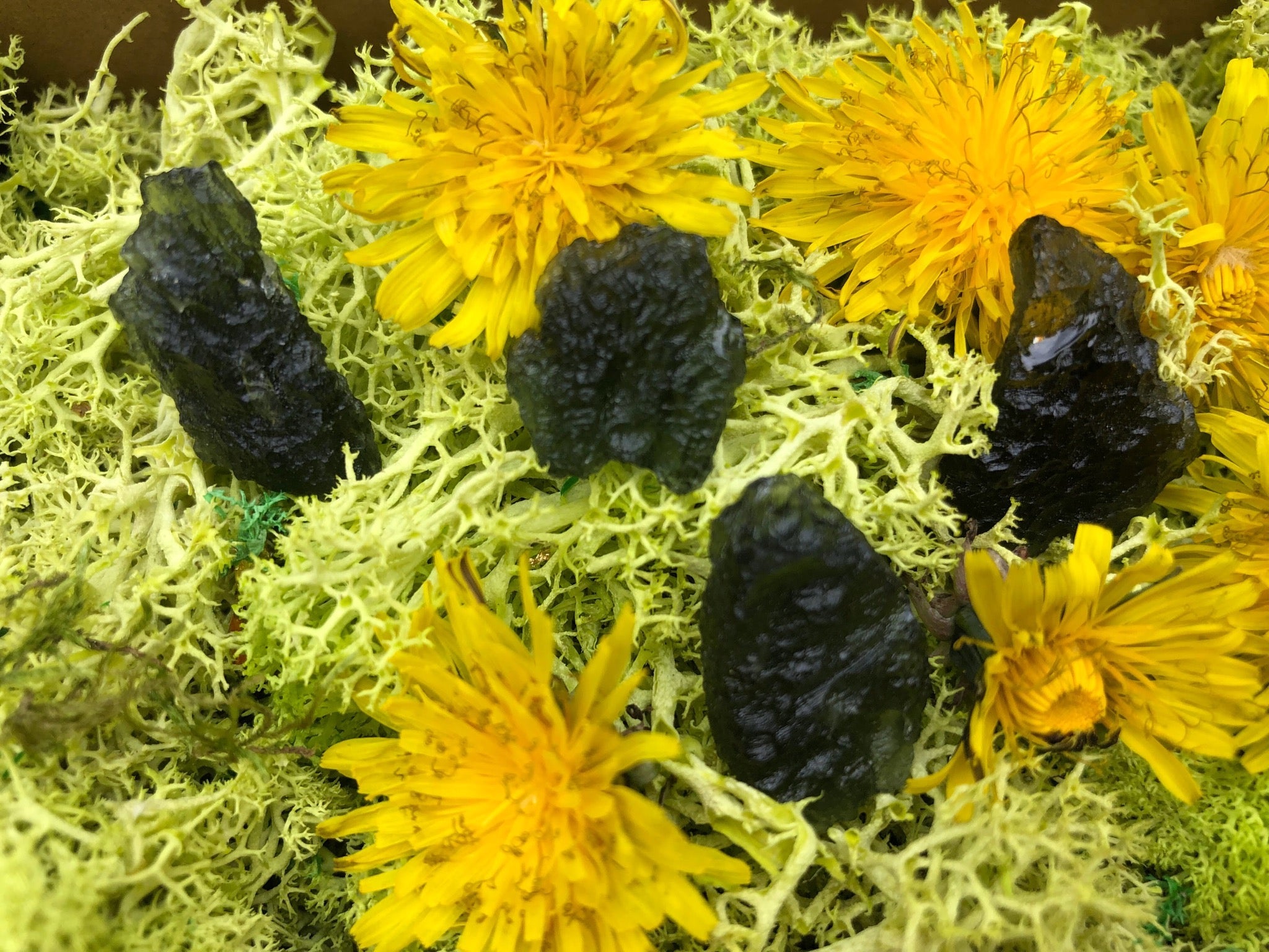 Rare Moldavite Genuine Czech Meteorite Tektite
