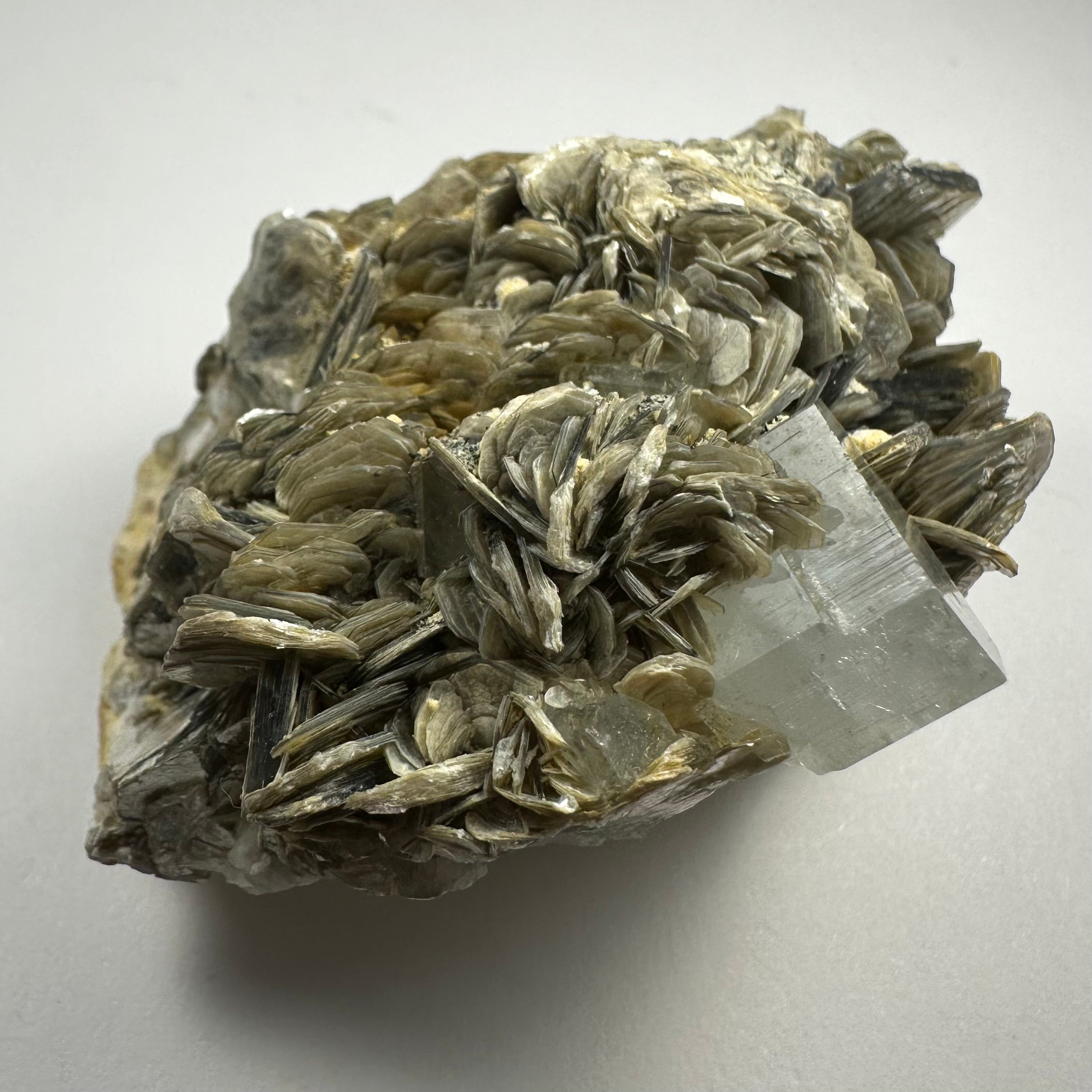 Aquamarine with Muscovite on Matrix from Shigar Valley, Skradu, Pakistan - New Age Realms