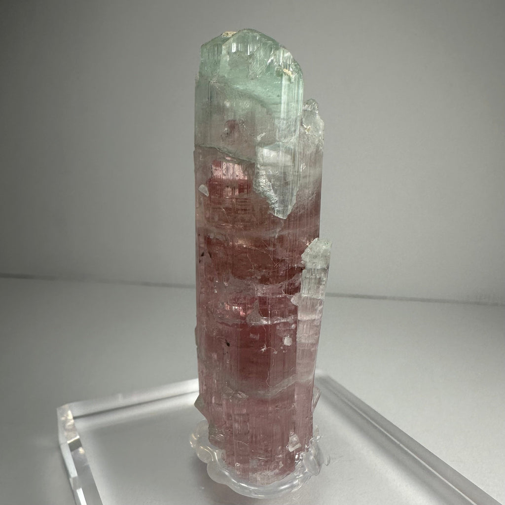 Watermelon Tourmaline - New Age Realms