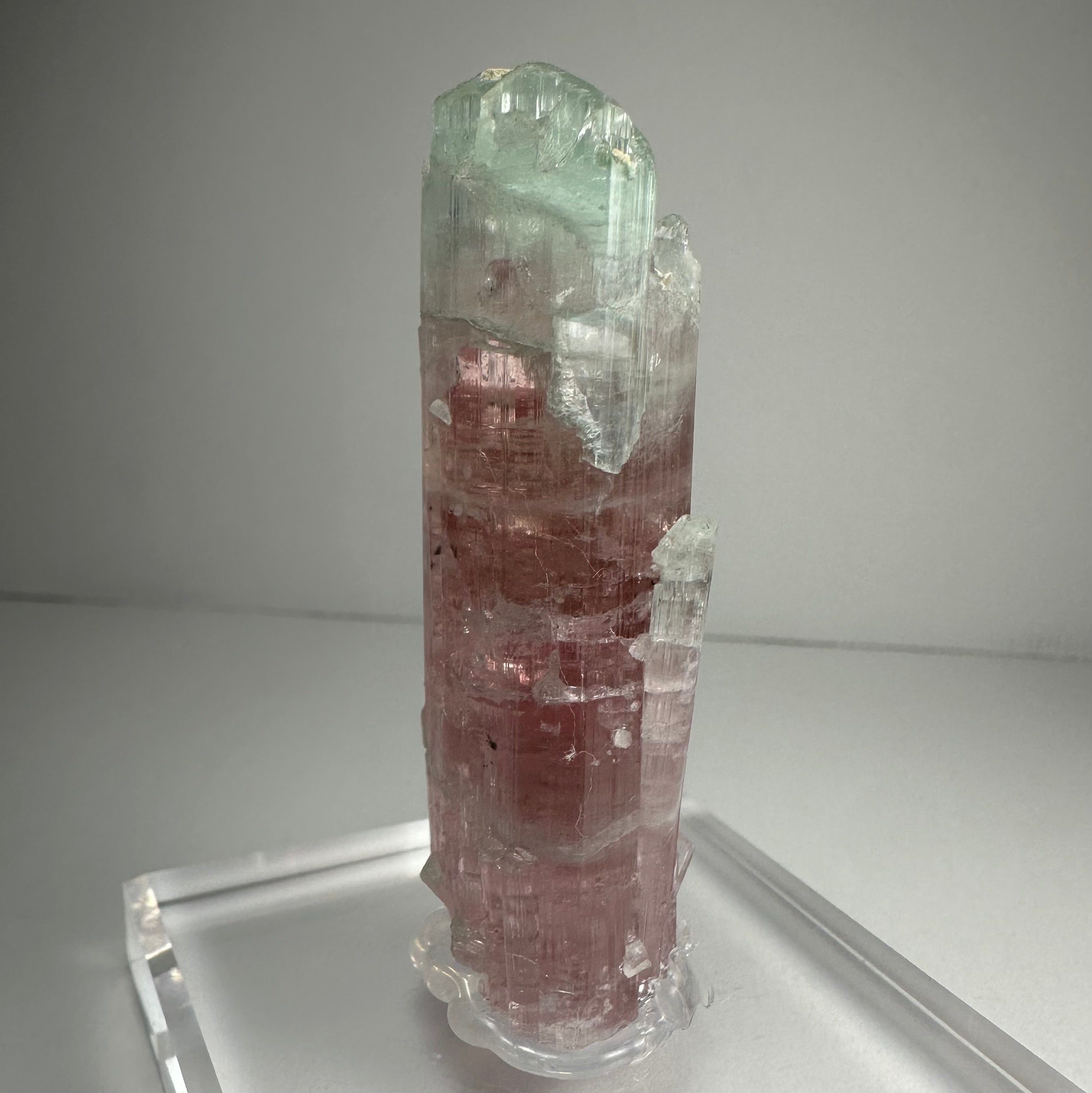 Watermelon Tourmaline - New Age Realms