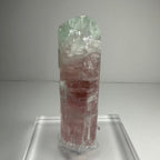Watermelon Tourmaline - New Age Realms