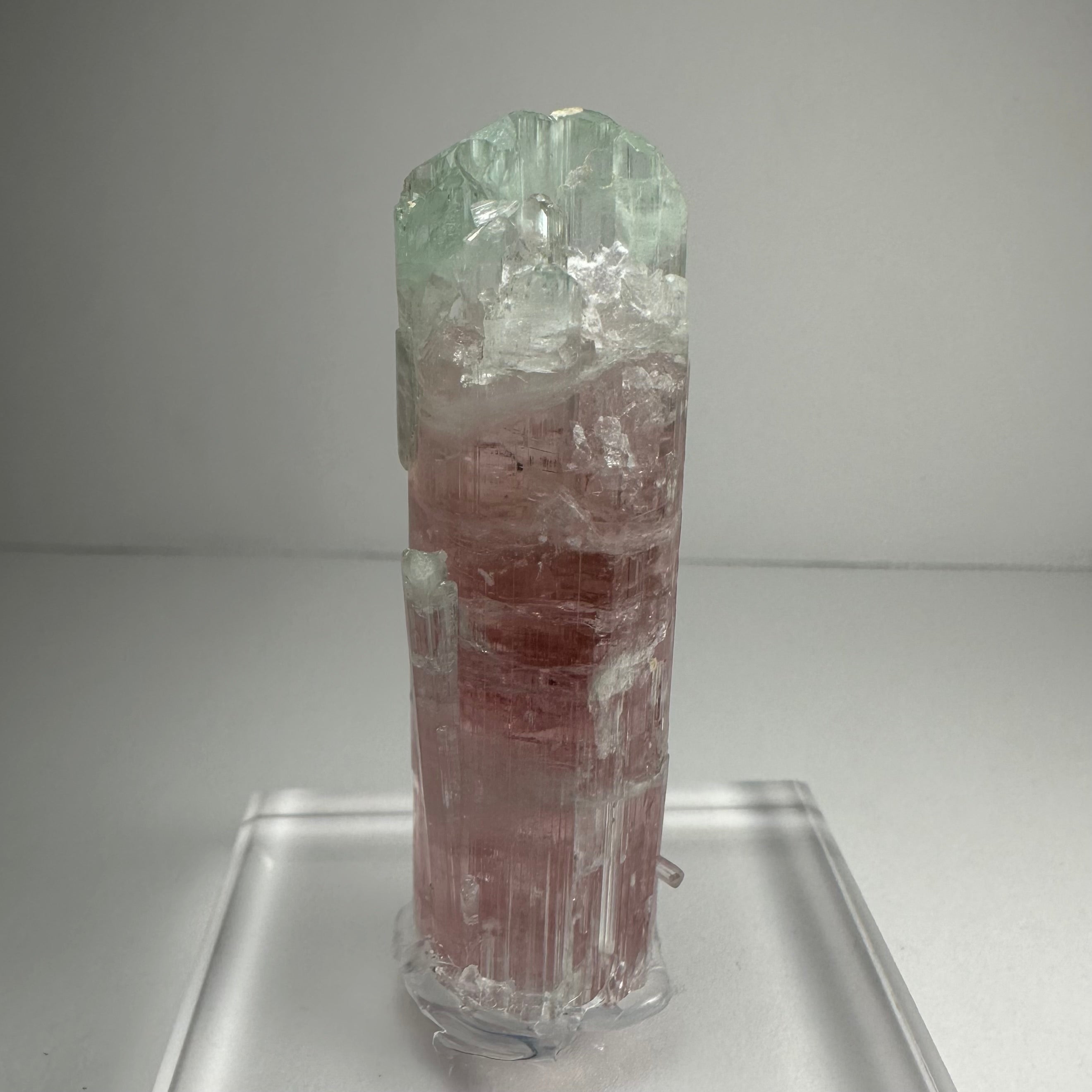 Watermelon Tourmaline - New Age Realms