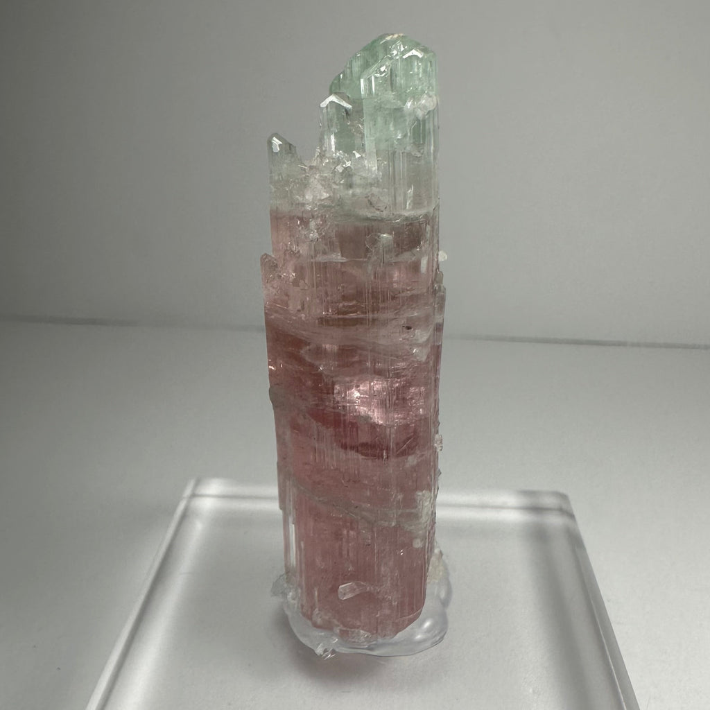 Watermelon Tourmaline - New Age Realms