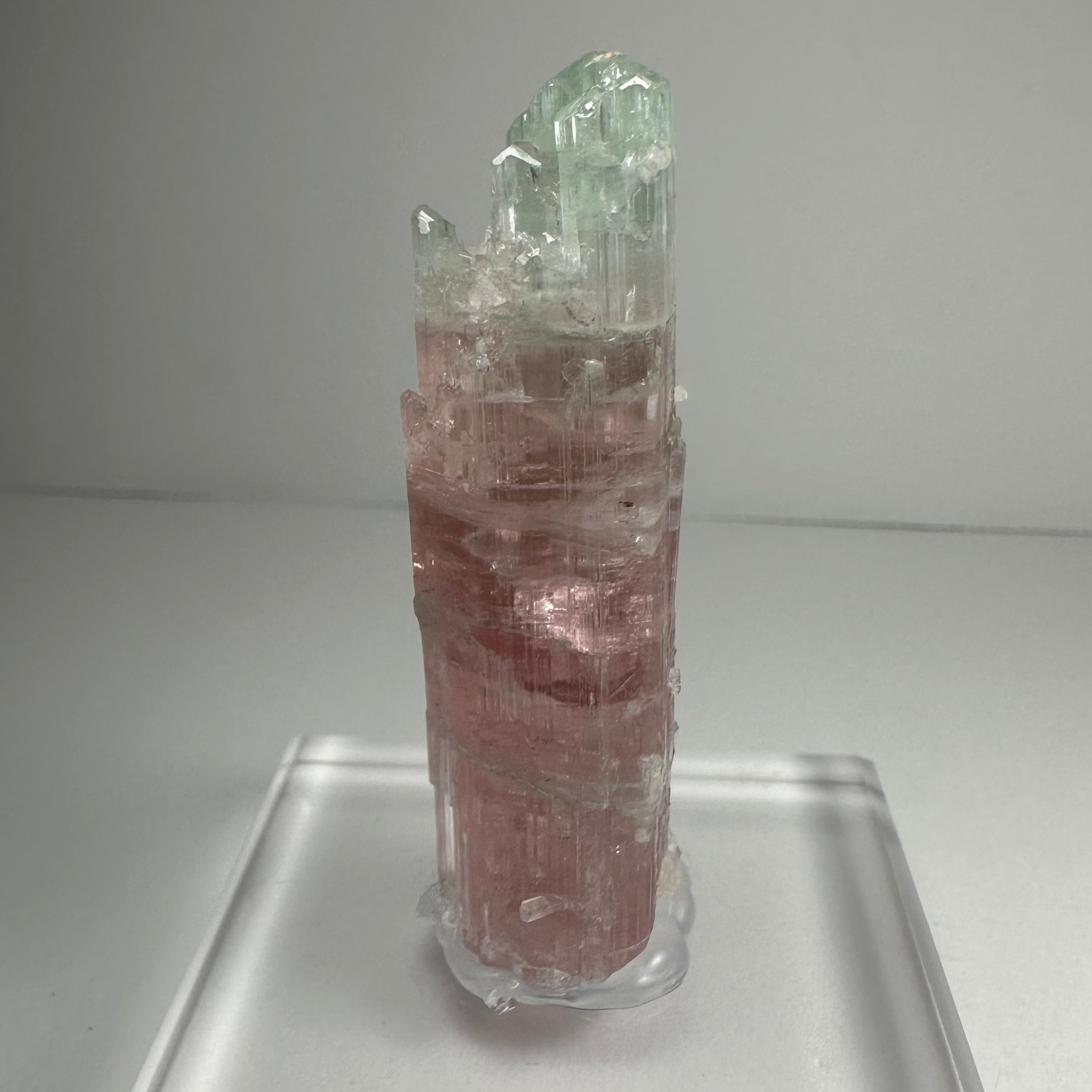 Watermelon Tourmaline - New Age Realms