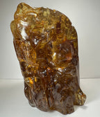 Colombian Amber Termite Hill - New Age Realms