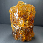 Colombian Amber Termite Hill - New Age Realms