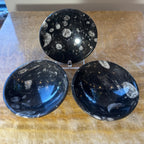 Orthoceras Fossils in Black Limestone Bowl from Atlas Mountains, Morocco - New Age Realms