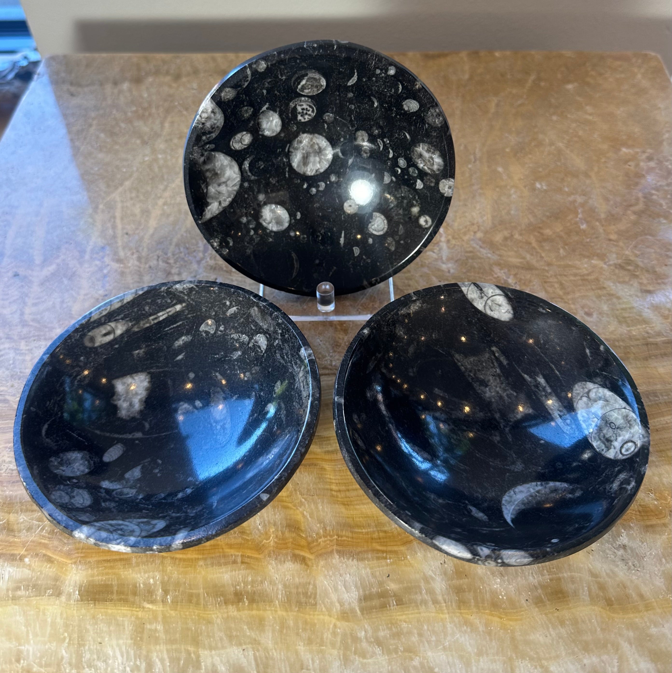 Orthoceras Fossils in Black Limestone Bowl from Atlas Mountains, Morocco - New Age Realms