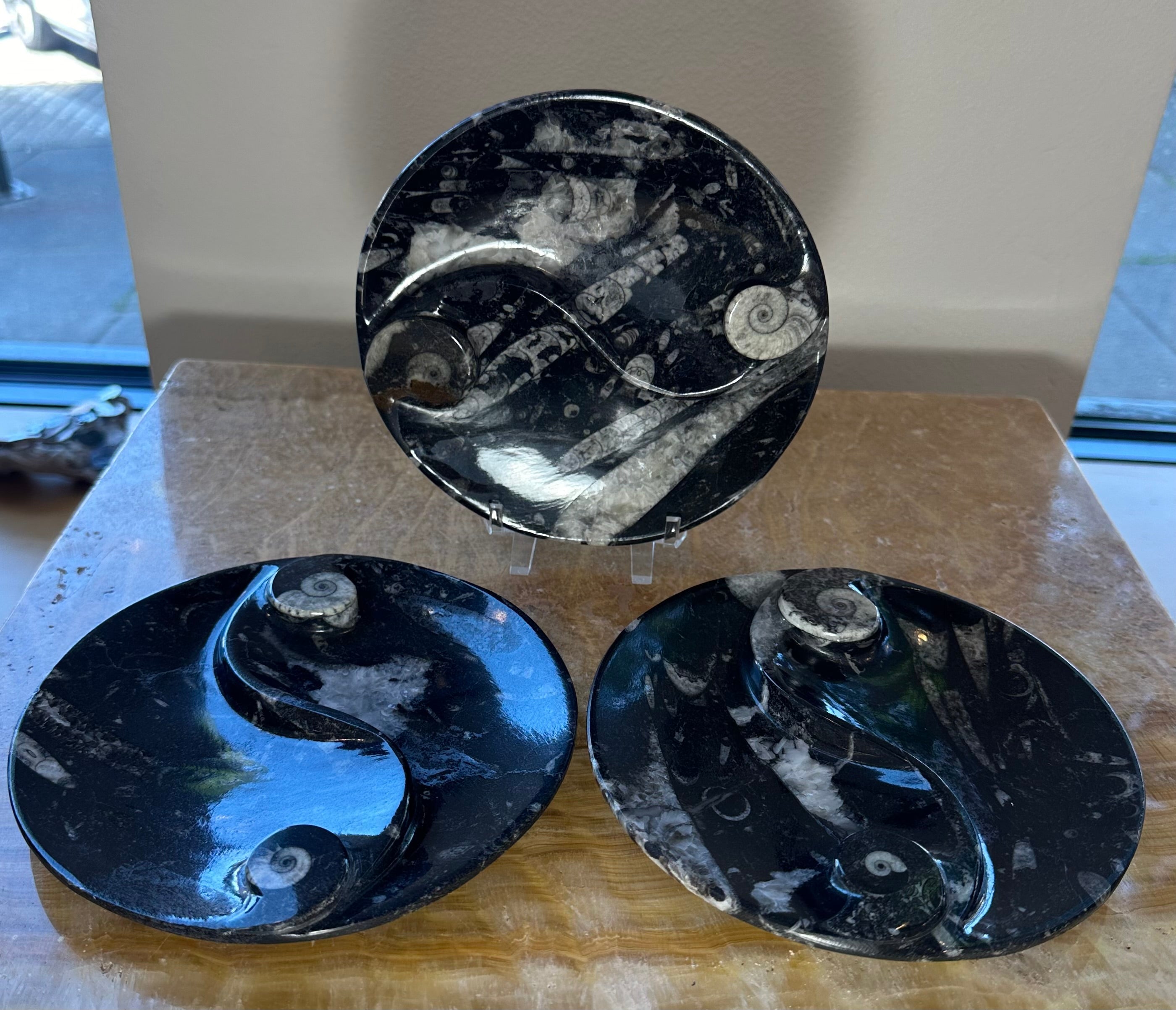 Goniatite & Orthoceras Fossils in Black Limestone Polished Yin-Yang Plate from Morocco - New Age Realms