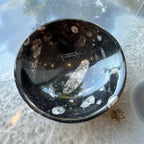 Orthoceras Fossils in Black Limestone Bowl from Atlas Mountains, Morocco - New Age Realms