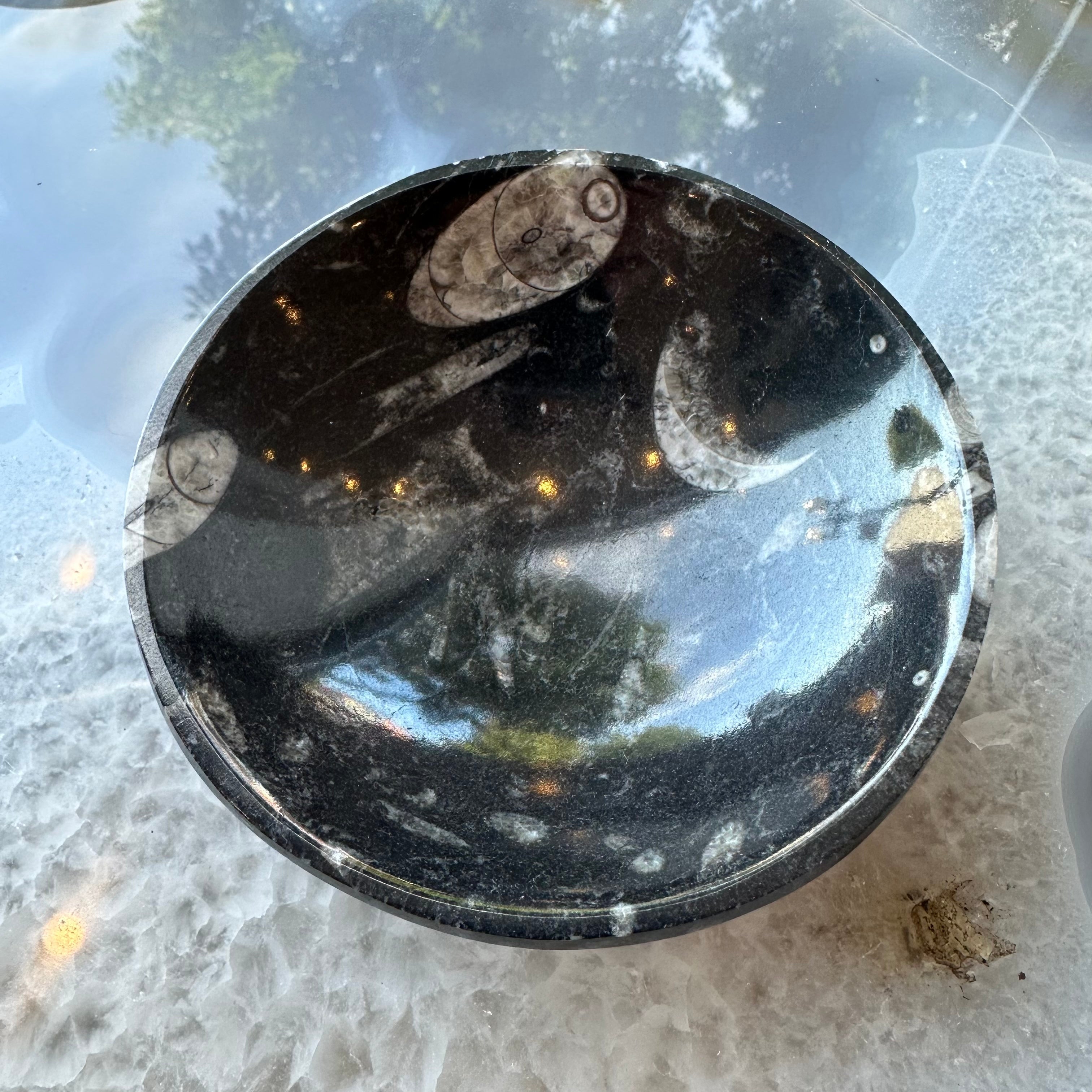 Orthoceras Fossils in Black Limestone Bowl from Atlas Mountains, Morocco - New Age Realms