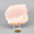 Rose Quartz Crystal Polished Slice Natural Pink Stone - New Age Realms