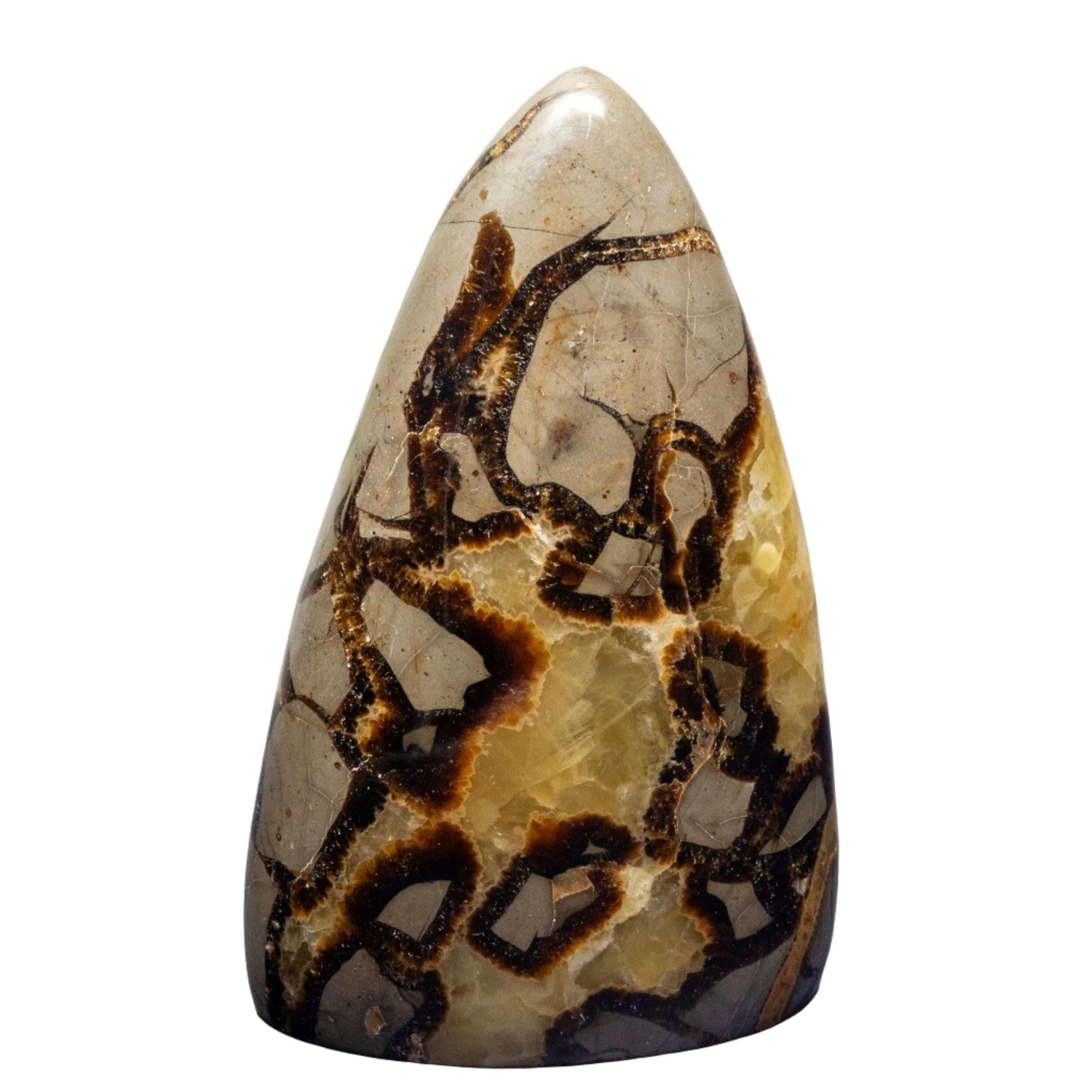 Septarian Stone Crystal Freeform Natural Polished Specimen - New Age Realms