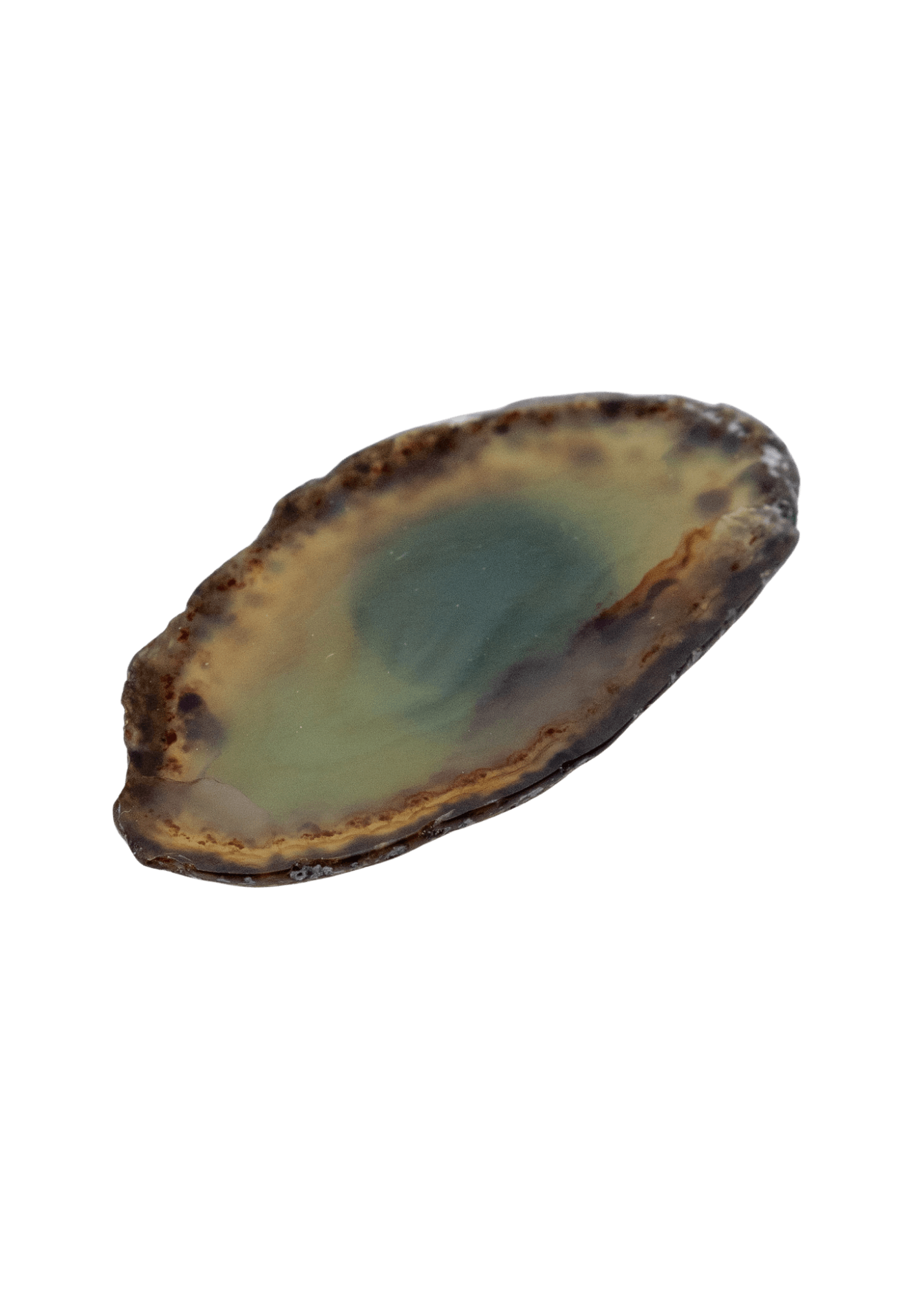 Agate Slice Crystal Fridge Magnet - New Age Realms