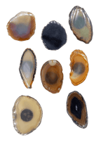 Agate Slice Crystal Fridge Magnet - New Age Realms