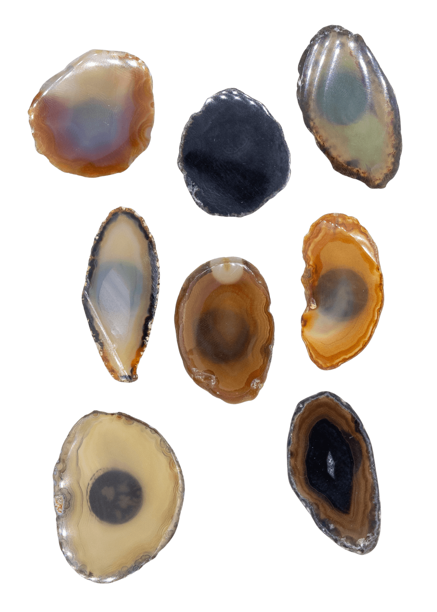 Agate Slice Crystal Fridge Magnet - New Age Realms
