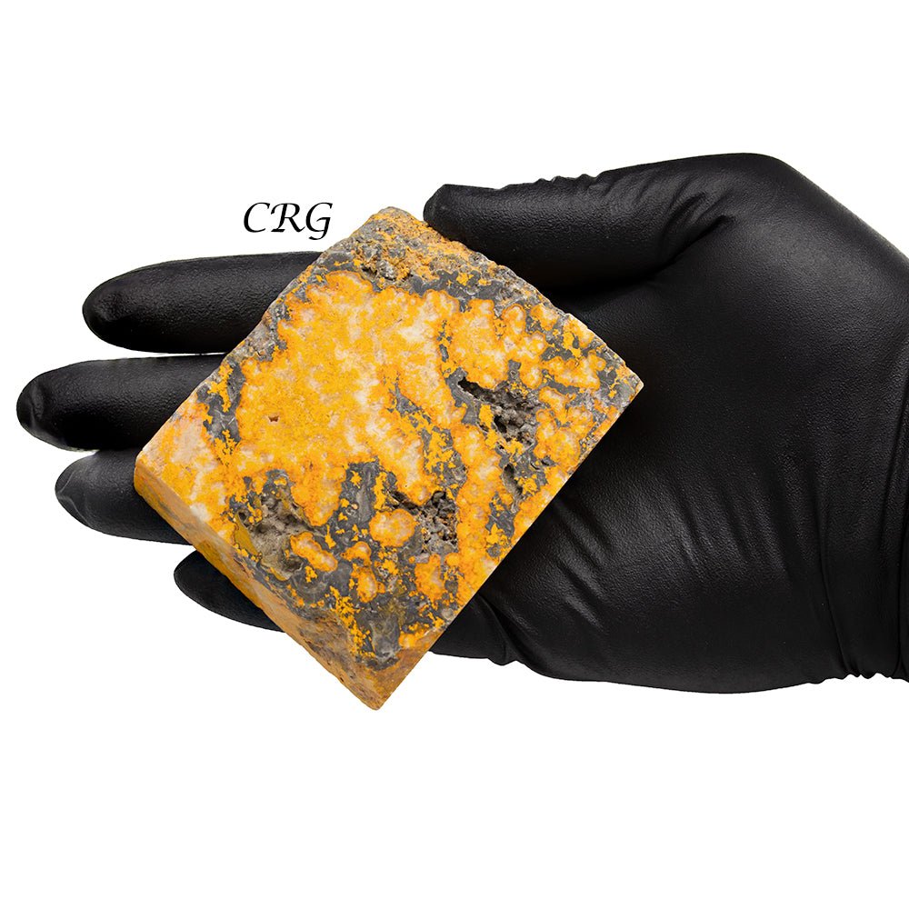 Bumblebee Jasper Polished Slabs (1 Kilogram) Size 2 to 4 Inches Bulk Wholesale Lot Crystals - New Age Realms