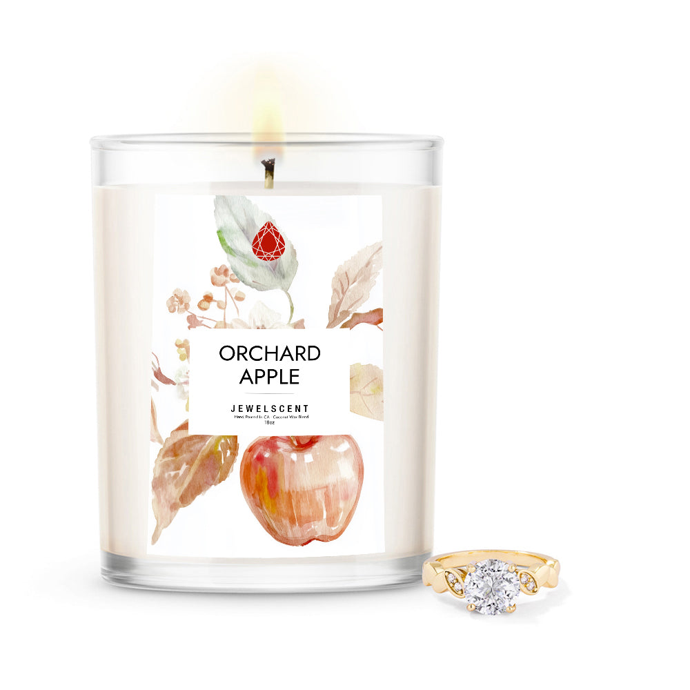 Orchard Apple 18oz Mystery Jewelry Candle - New Age Realms