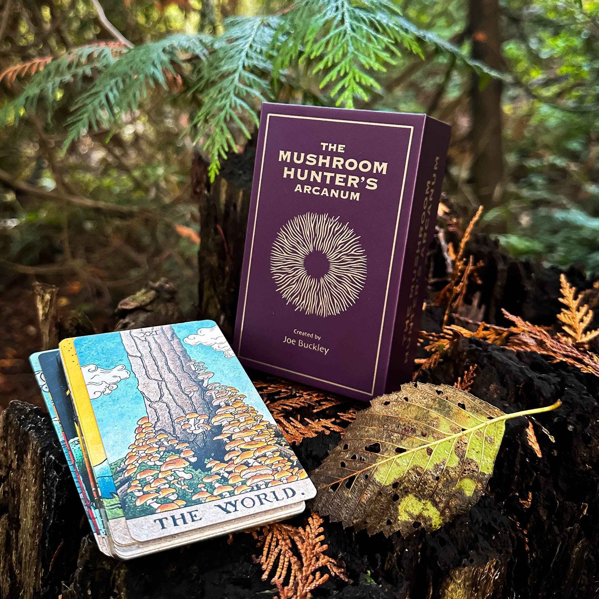 THE MUSHROOM HUNTER'S ARCANUM: A Tarot Deck for Mushroom Hunters