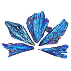 Titanium Blue Kyanite Fan (Size 1.5 to 3 Inches) Wholesale Raw Crystals Minerals Gemstones - New Age Realms