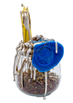 Union Blessing RitualJar - Large - New Age Realms
