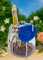 Union Blessing RitualJar - Large - New Age Realms